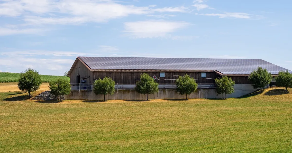 Hangar agricole avec une toiture photovoltaïque dans un champ