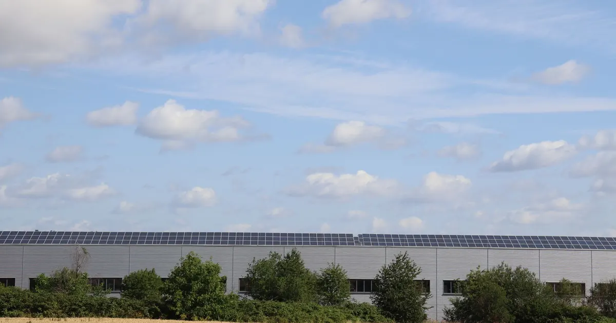 Agrivoltaïsme : panneaux solaires au-dessus de cultures